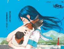 完美世界